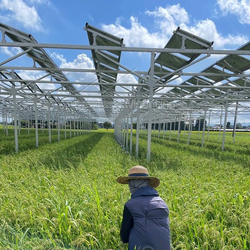 solar farm