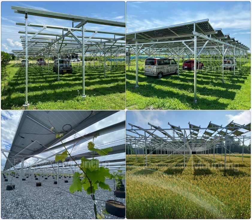 solar farm